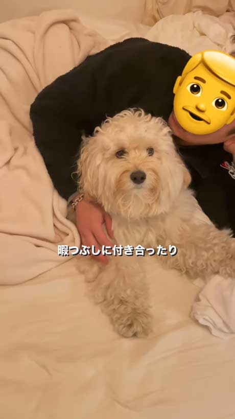 そばいにいる愛犬