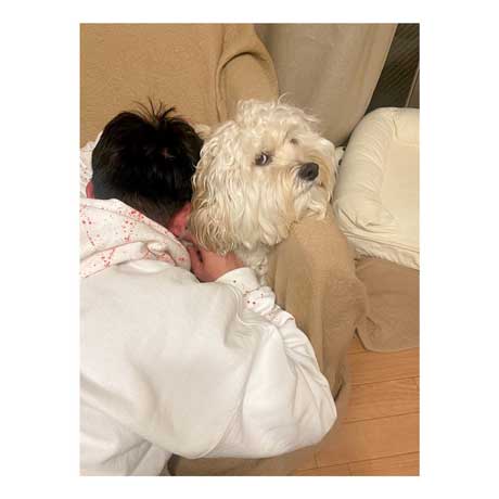 ツンデレ表情のワンコ