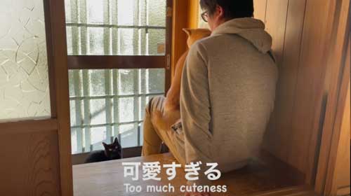 パパから離れない柴犬