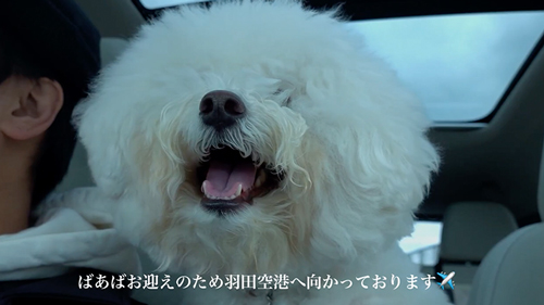 ばぁばと半年ぶりに再会