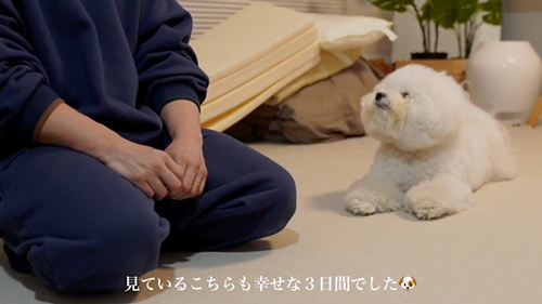 楽しかった犬とばぁば