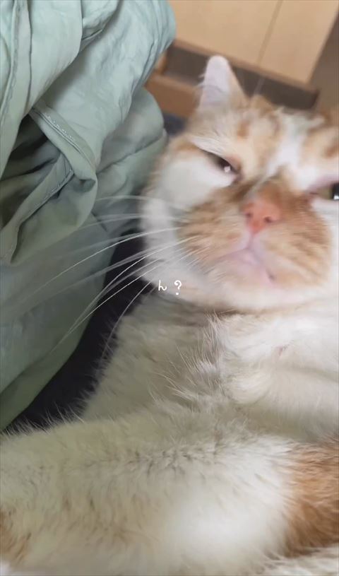 振り向くテロップ