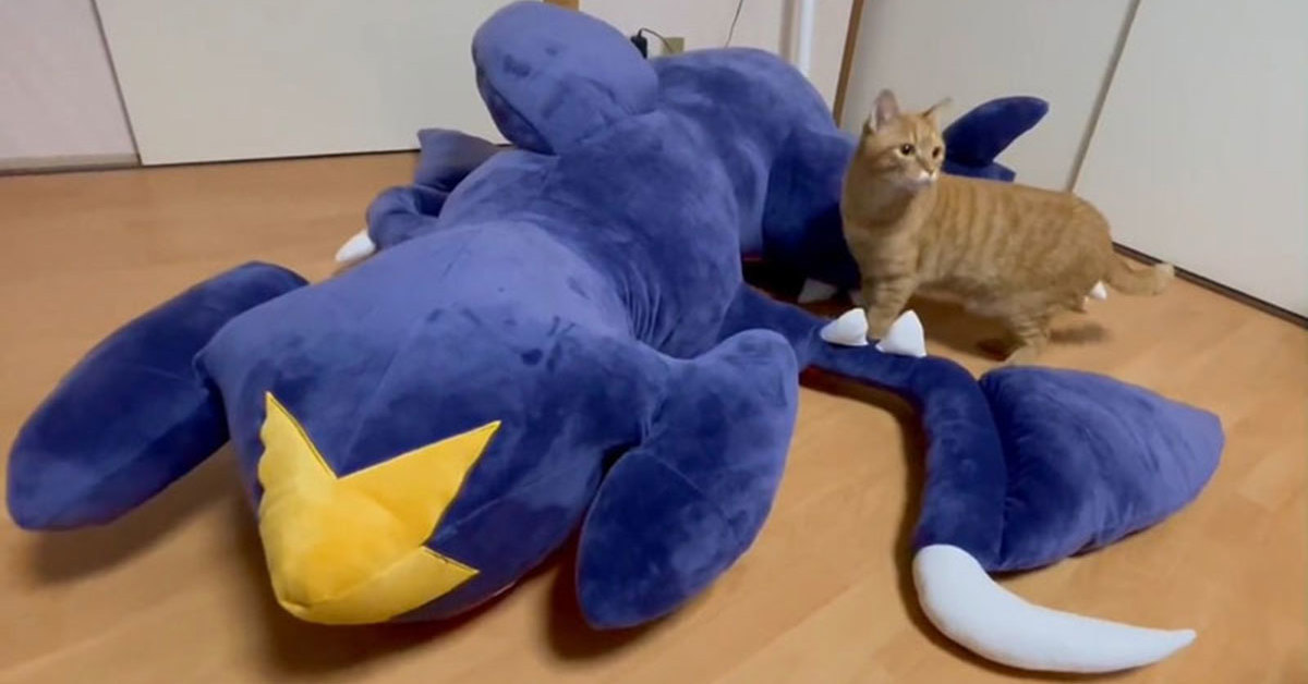 大きなガブリアスクッション【2次販売】 | ポケットモンスター