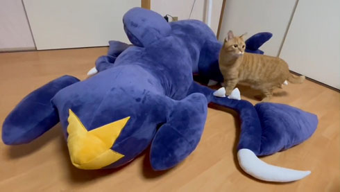 ポケモン「ガブリアス」の特大クッションが想像以上にでかい