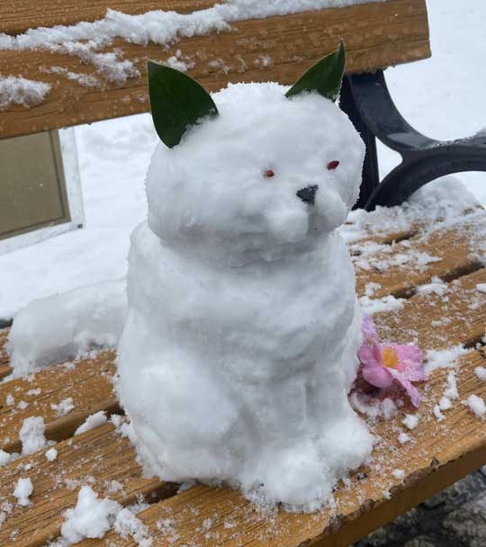 猫 雪だるま ウィスカーパッド かわいい