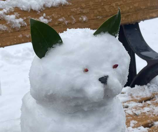 猫 雪だるま ウィスカーパッド かわいい