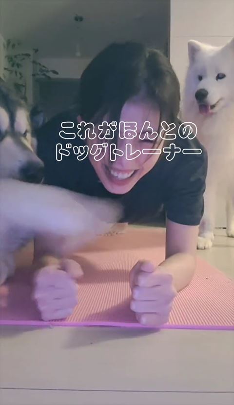 前足をだそうとするワンコ