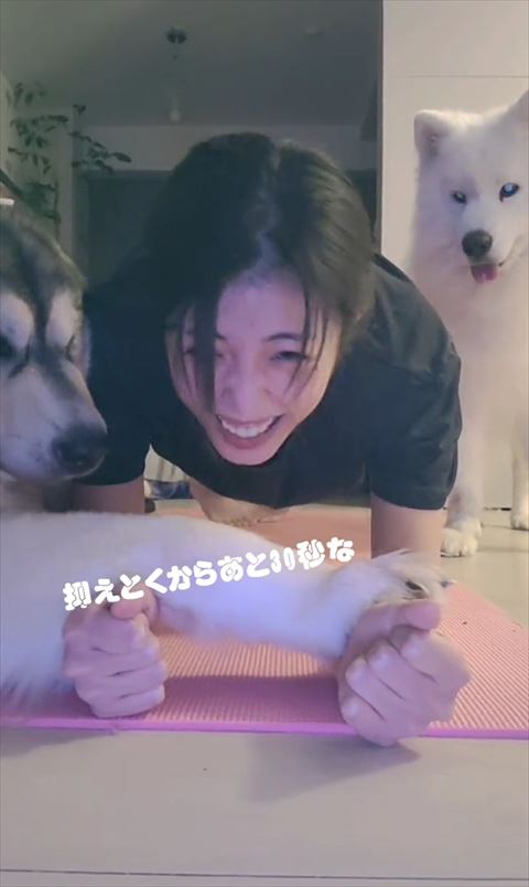 抑えとくからテロップ