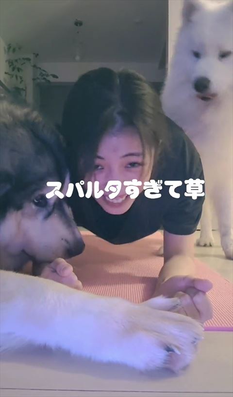 スパルタ過ぎて草テロップ