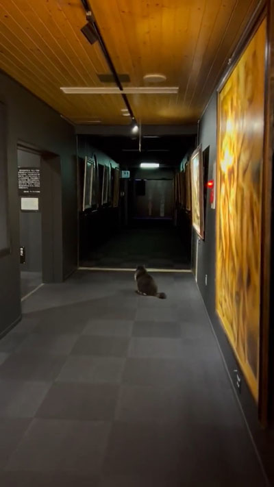 ディマシオ美術館