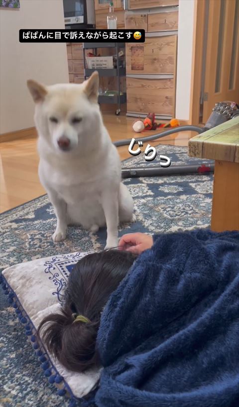 じりっテロップ