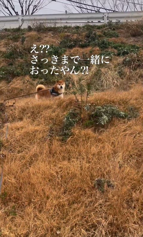 さっきまで一緒におったやんテロップ