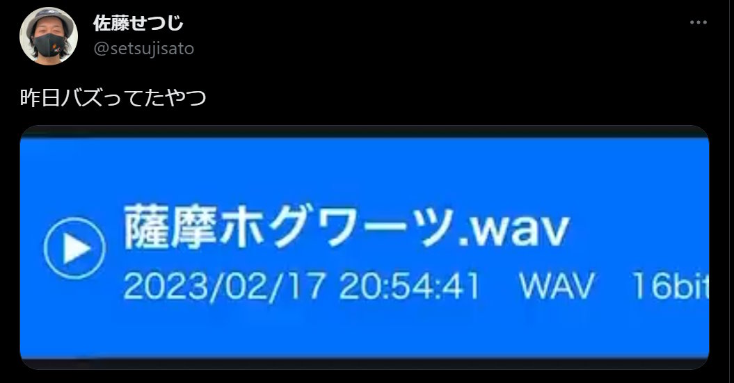 ハリポタの謎概念「薩摩ホグワーツ」ついに公式吹き替え声優に見つかる　組分け帽子の声で「君は……グ、いや薩摩藩！」