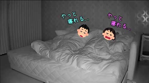 猫 夜中 大運動会 元野良猫