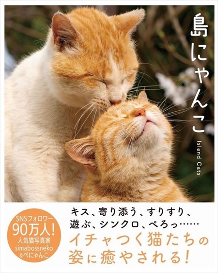 島にゃんこ写真集