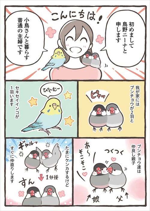 トリ扱い説明書