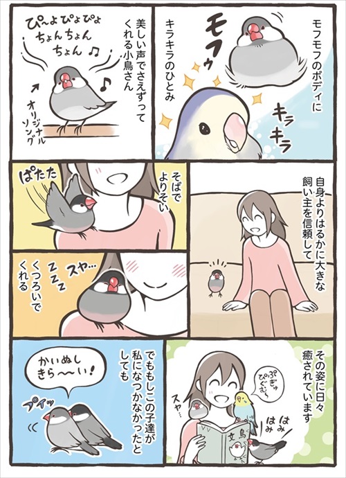 トリ扱い説明書