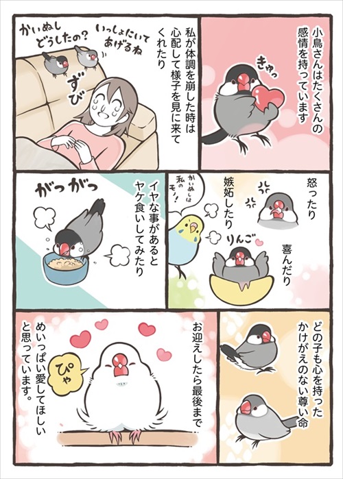 トリ扱い説明書