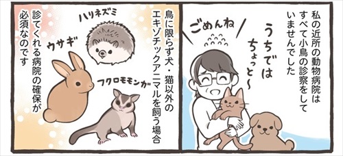 トリ扱い説明書