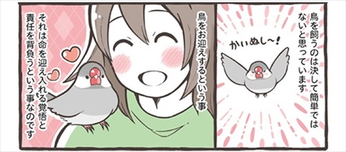 トリ扱い説明書