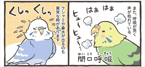 トリ扱い説明書