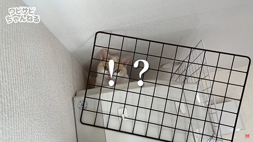 エアコンの上の雪見ちゃん