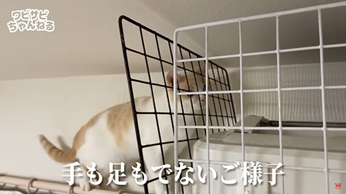 手も足も出ない