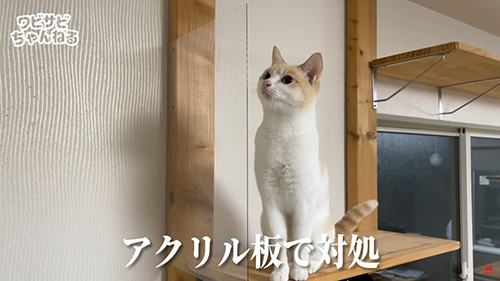 アクリル板で対処