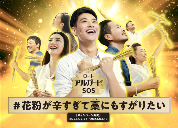 ロート アルガード 花粉症