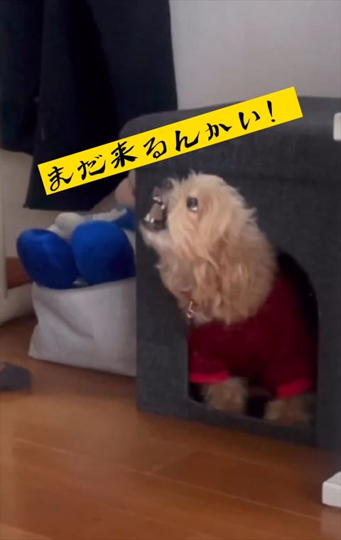 まだ来るんかいテロップ