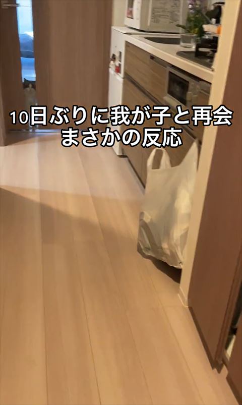 10日ぶりに我が子と再会テロップ