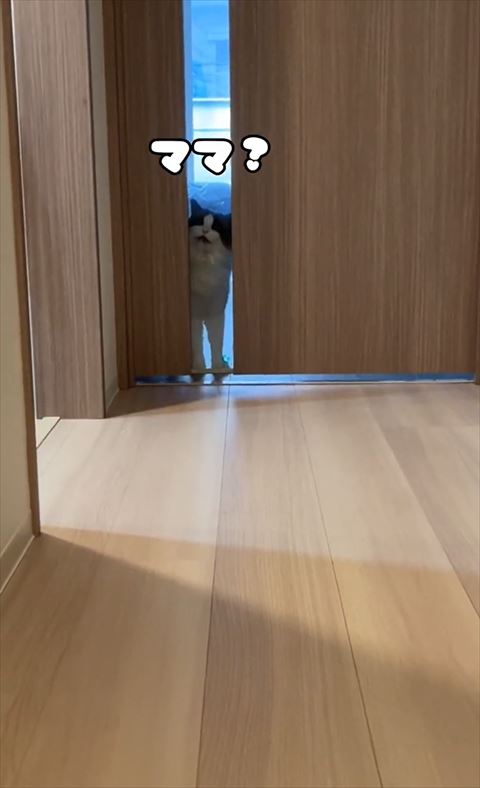 ママテロップ？