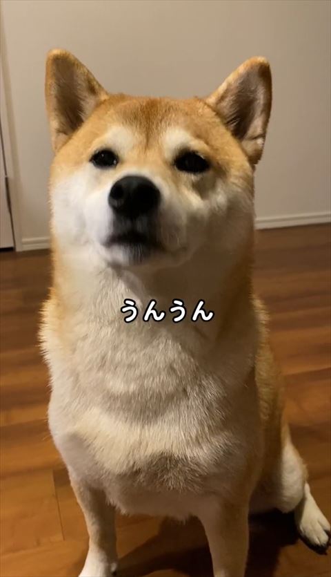 うんうんテロップ