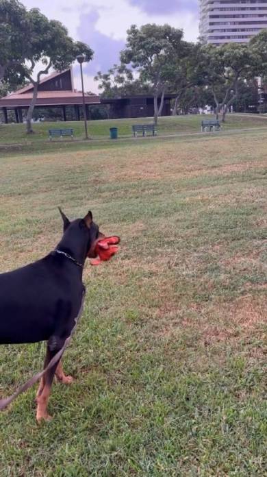 だれもいない広場