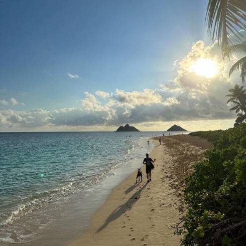 散歩道を行くドーベルマン