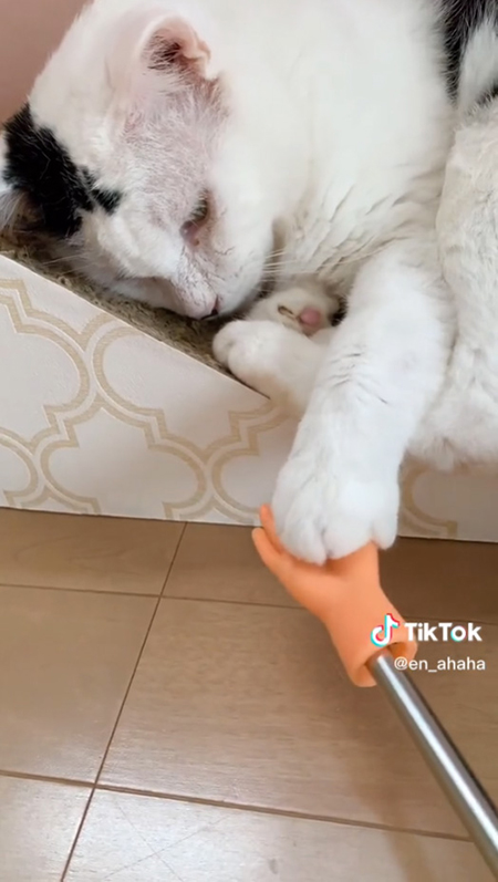 手の棒と八べぇさん