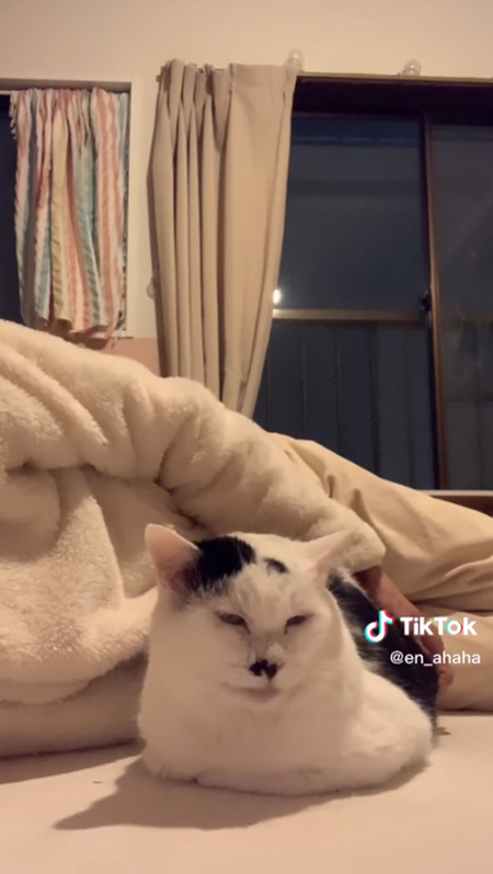 座る八べぇさん