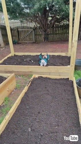 「Toddler Plays in Garden Dirt || ViralHog」