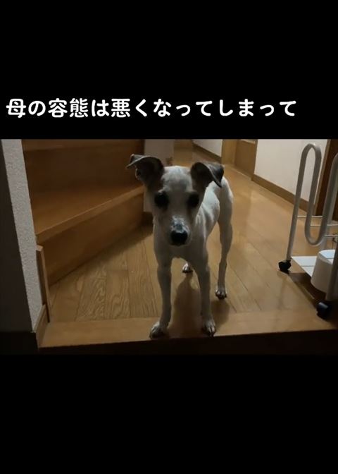 母の容態は悪くなってテロップ