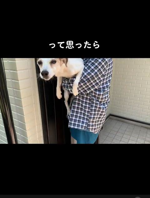 って思ったらテロップ