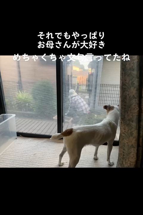 それでもやっぱりテロップ