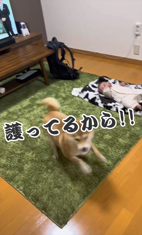 護ってるからテロップ