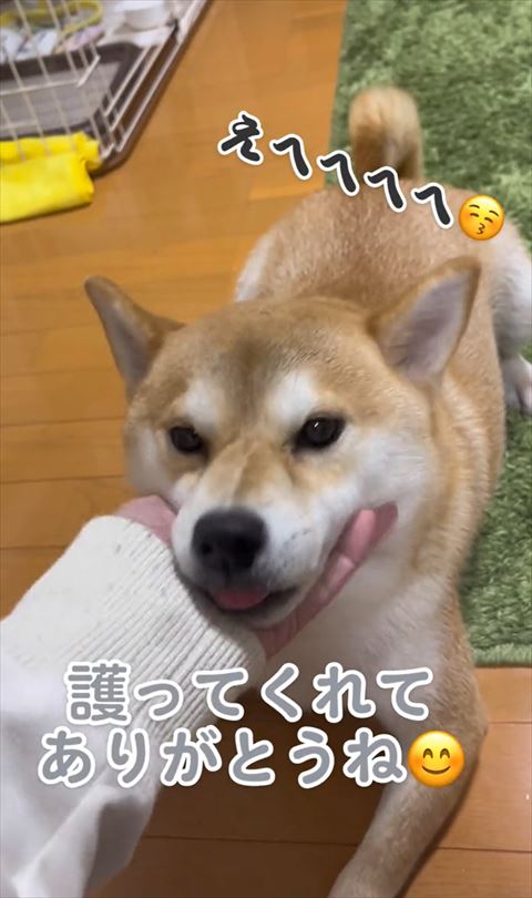 えへへテロップ