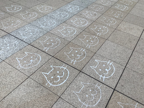 にゃっぽりが描かれた床