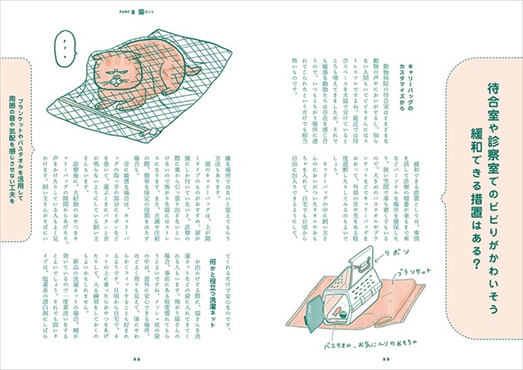 診察室での対応 