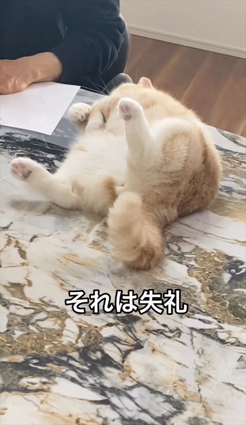 それは失礼テロップ