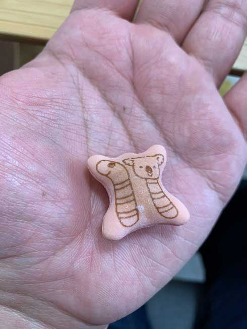 コアラのマーチ チンアナゴ コアラ 絵柄