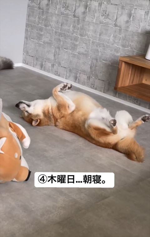 木曜日テロップ