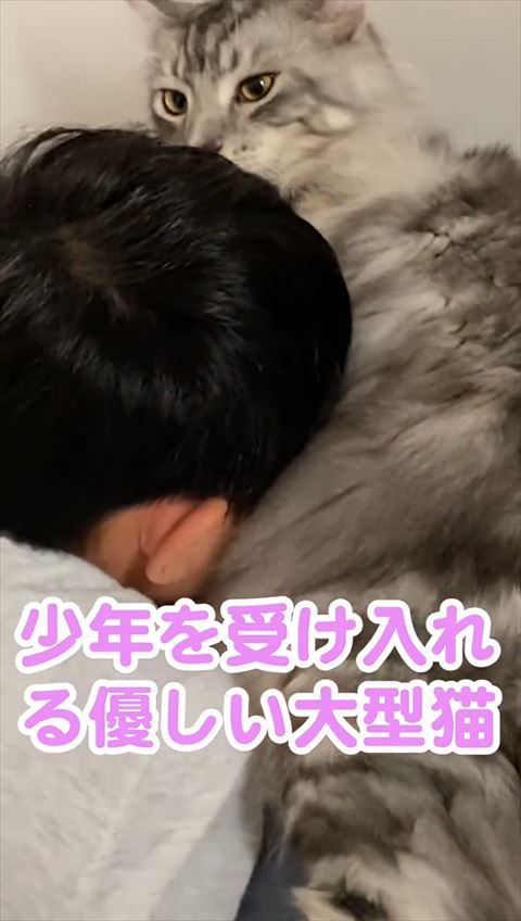 少年を受け入れテロップ