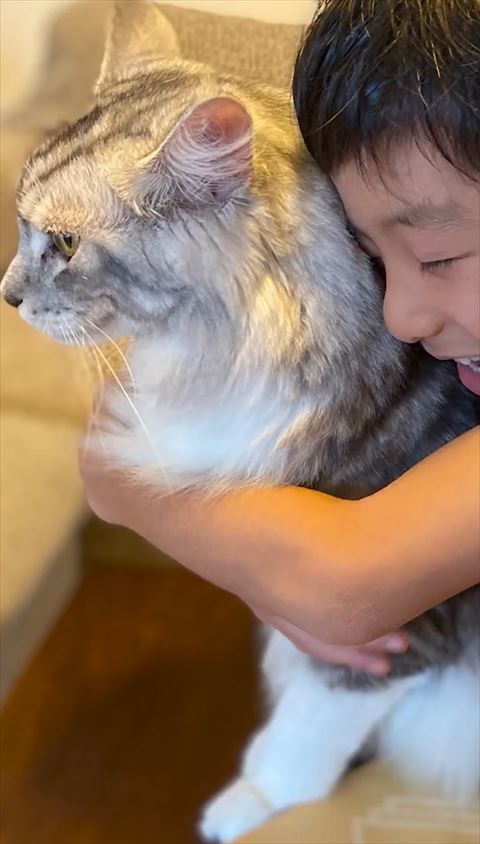 抱きしめられる猫